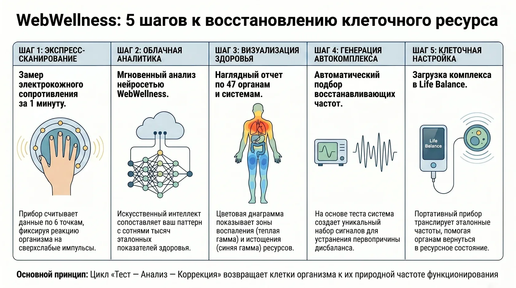 Инфографика: 5 шагов к восстановлению клеточного ресурса с WebWellness: от сканирования до настройки.