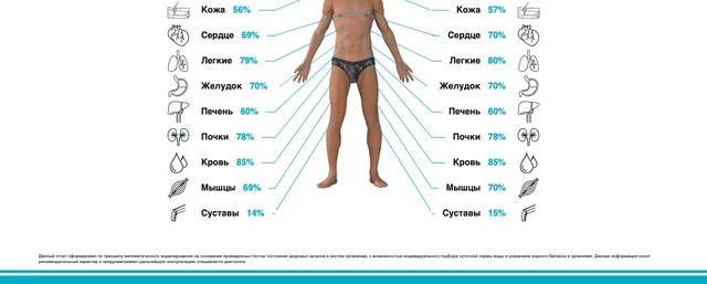 Пример отчёта Life Expert: Водный баланс, лист 2 из 2